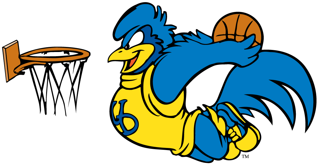 delaware blue hens 1993-pres mascot Logo v7 DIY iron on transfer (heat transfer)